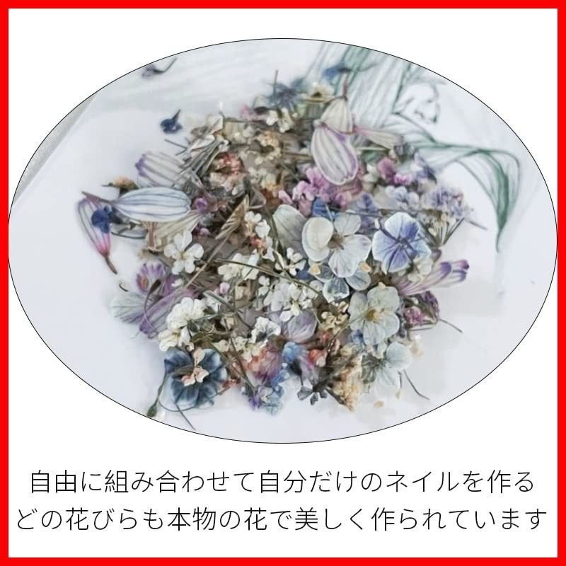 スターフラワー(ガーデン油絵シリーズ、色:A) 用品 工房 デコパーツ 花