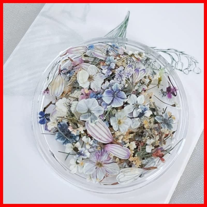 スターフラワー(ガーデン油絵シリーズ、色:A) 用品 工房 デコパーツ 花