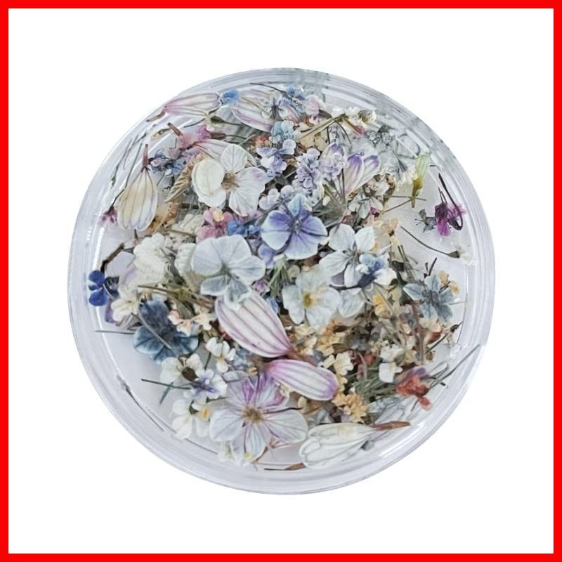 スターフラワー(ガーデン油絵シリーズ、色:A) 用品 工房 デコパーツ 花