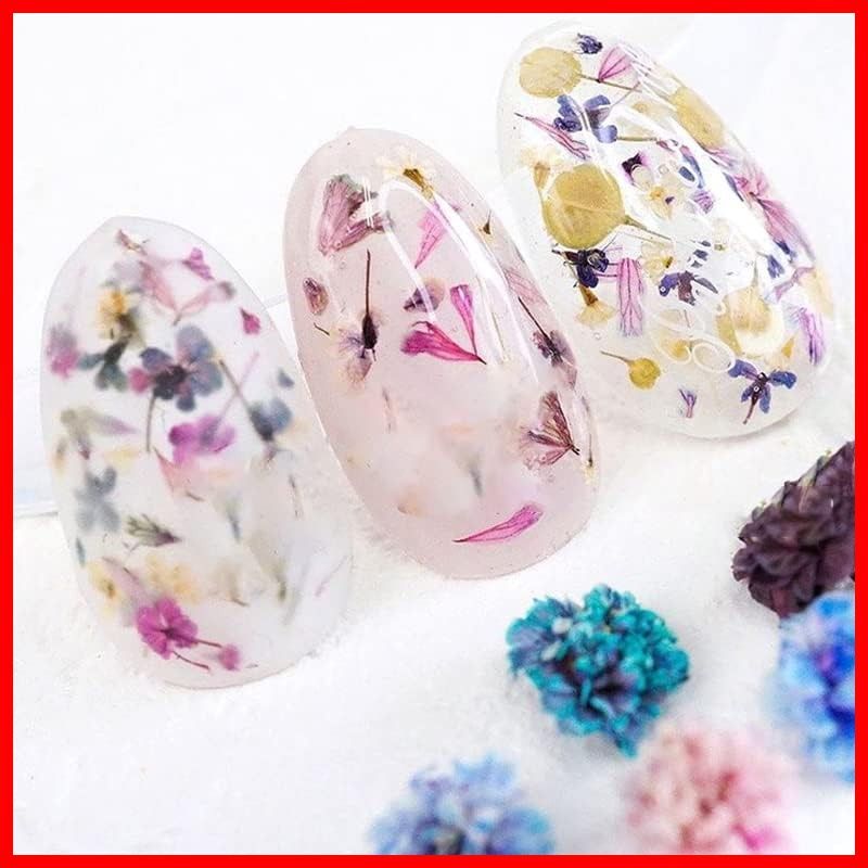 AAGWW ドライフラワー ネイルパーツ 押し花 レジン用 2 個入り