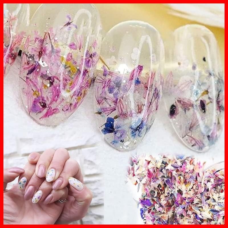 AAGWW ドライフラワー ネイルパーツ 押し花 レジン用 2 個入り