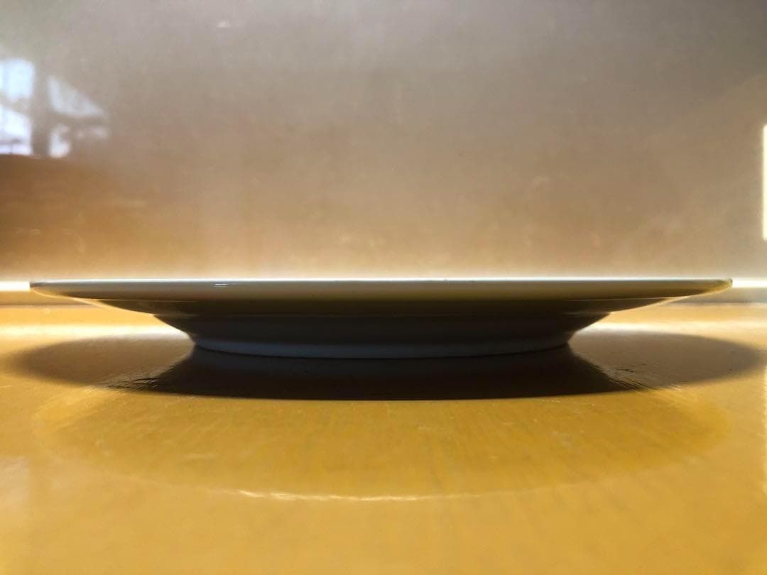 鳥葉紋大皿 10客