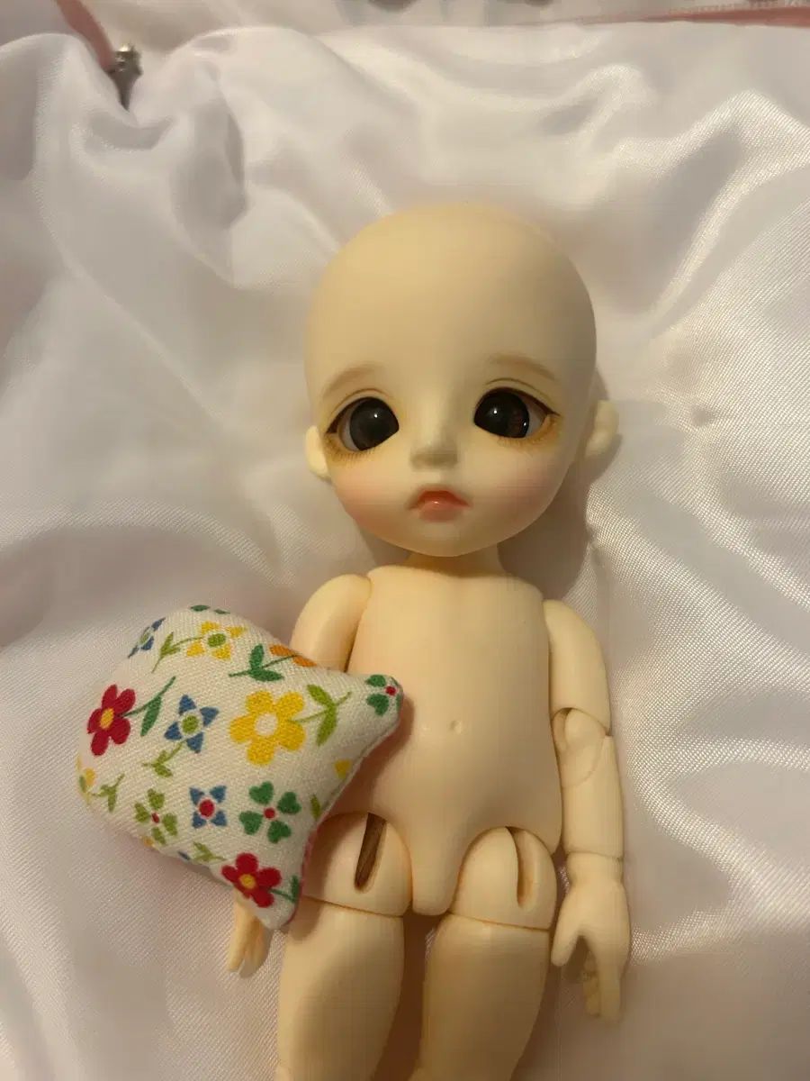 LINA chou ベイビー デイジー