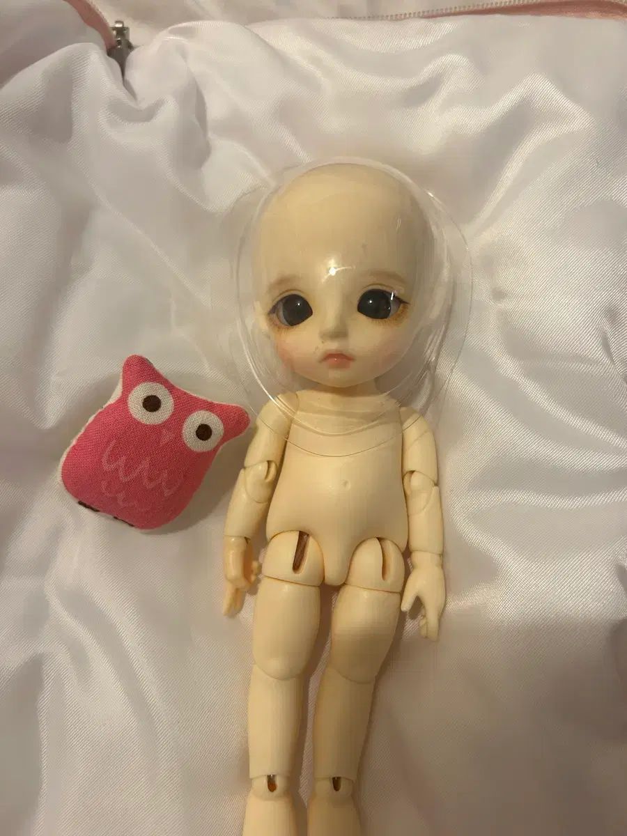 LINA chou ベイビー デイジー