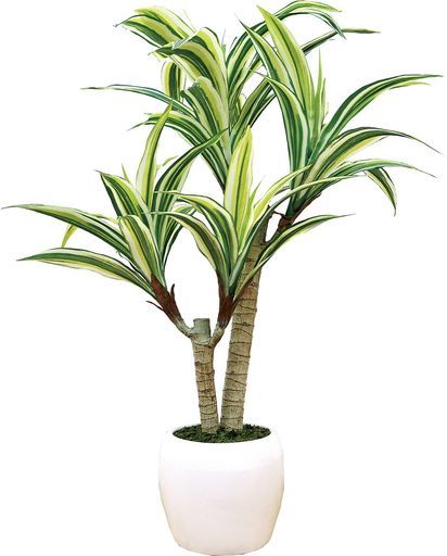 インテリアグリーン大きい造花観葉植物光触媒おしゃれドラセナ70 cm 167372