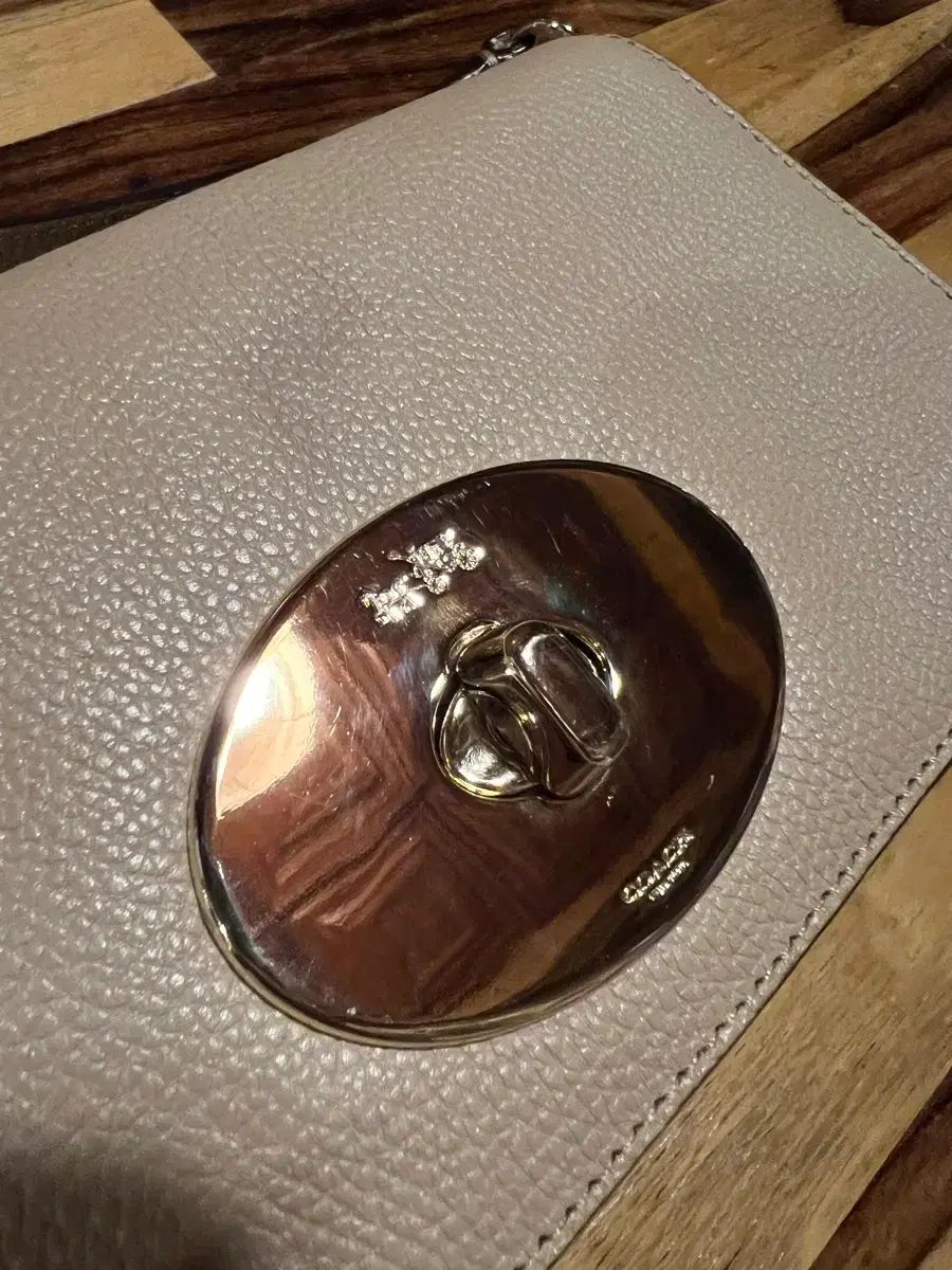  コーチ リーフ ポーチ クロス ミニバッグ メッセンジャーバッグ ショルダーバッグ