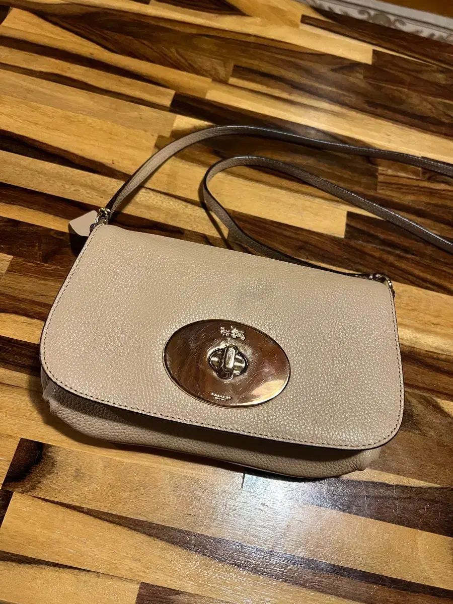 コーチ リーフ ポーチ クロス ミニバッグ