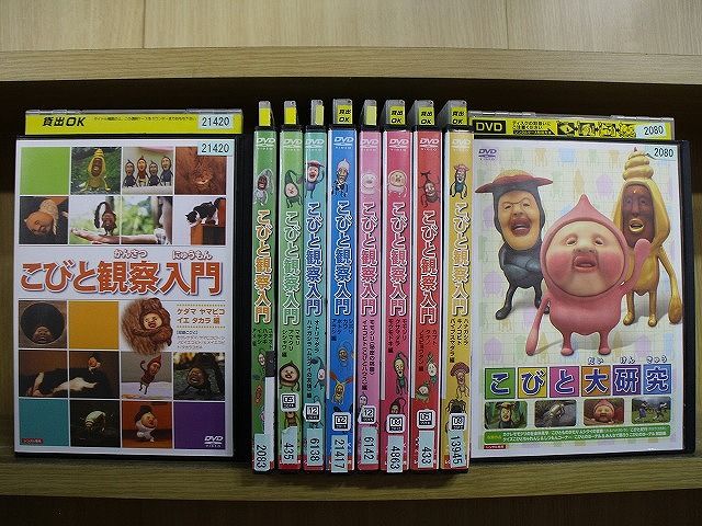 DVD こびと観察入門 こびと大研究 シリーズ 計10本セット ※ケース無し