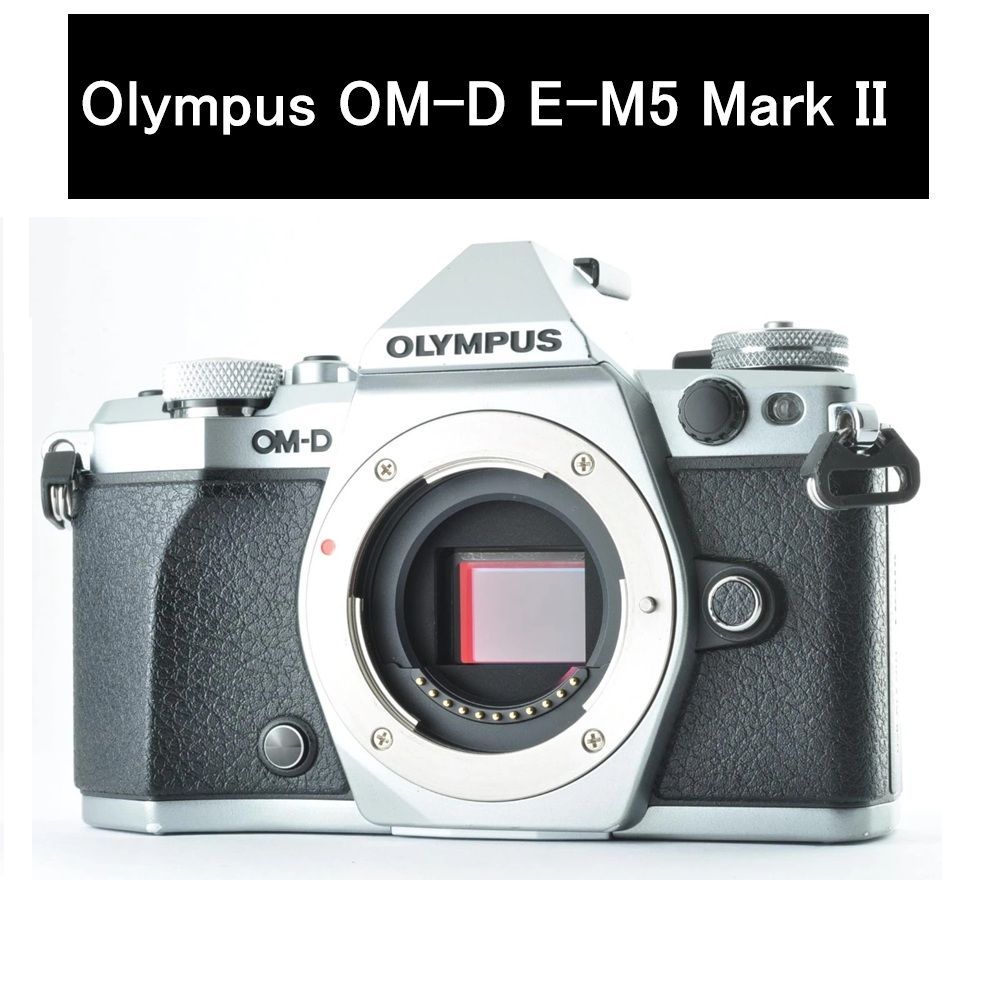 Olympus OM D E M 5 Mark II Silver シルバー
