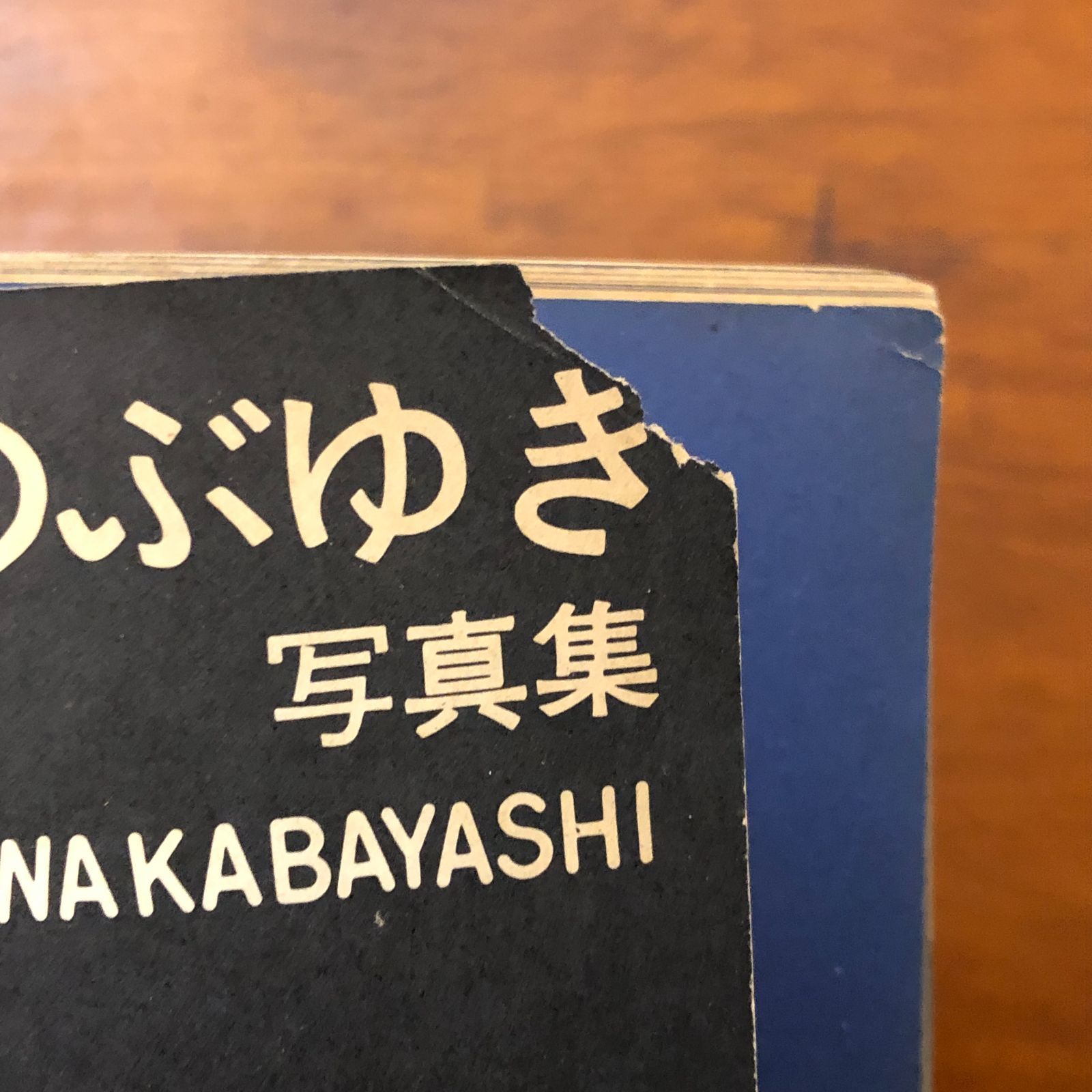 月蝕 若林のぶゆき フォトジャパン 1972年 30日 発行 赤線地帯の 写真集 前衛写真 モノクロ写真 特殊地帯 芸術写真 写真作品 ee 8いynm 1