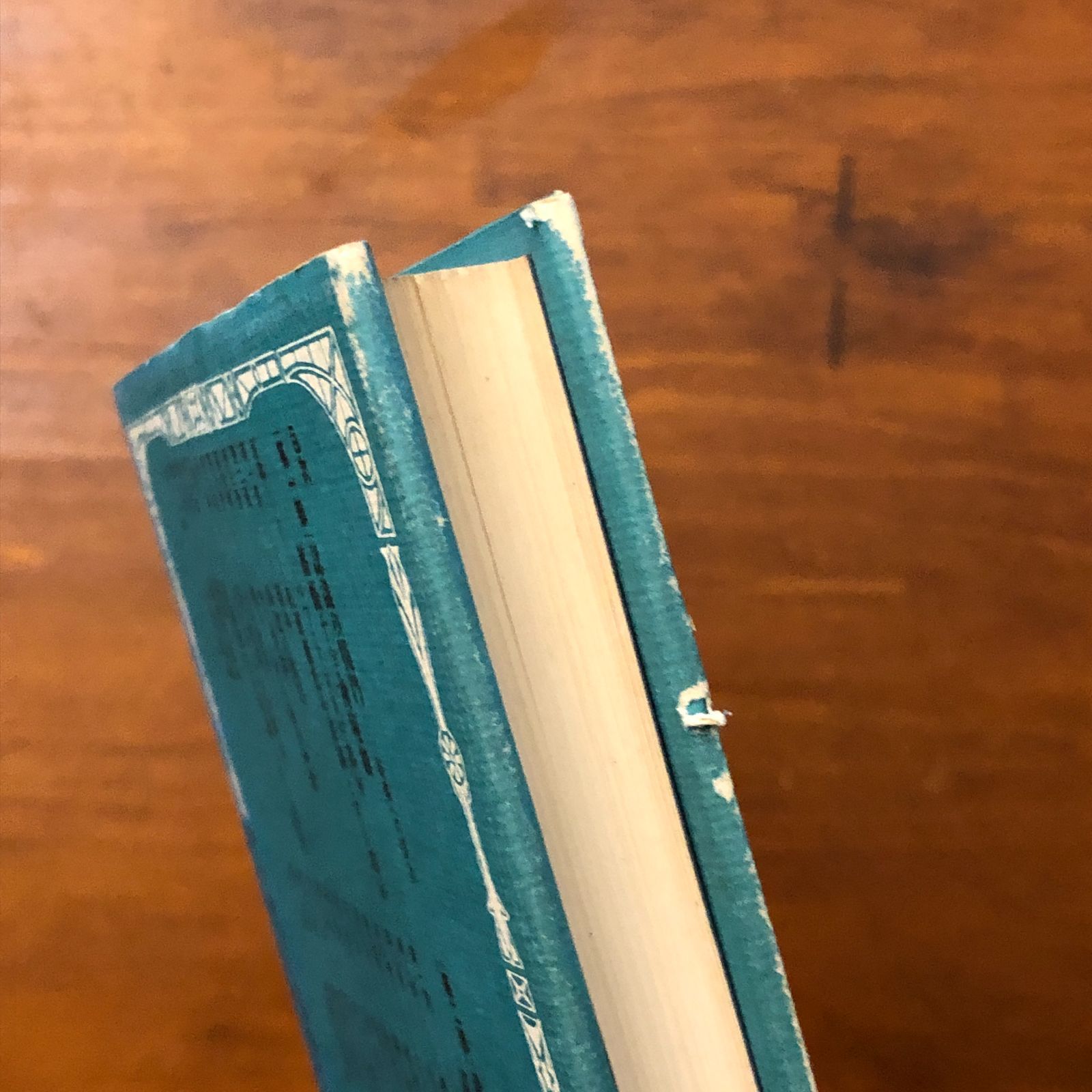 神秘劇 1 ルドルフ・シュタイナー著作全集 14 ルドルフ・シュタイナー