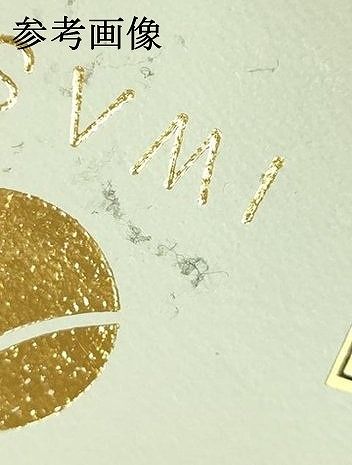 和装草履 市松模様