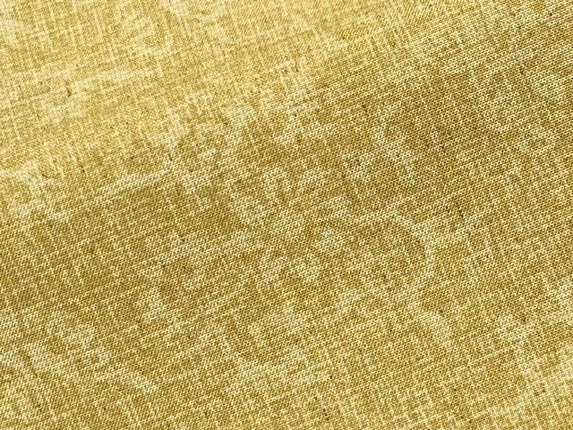  平和屋着物 上質な紬 鳳凰花唐草文 正絹 gh 紬 着物