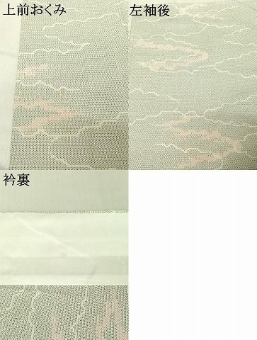  平和屋着物 本塩沢 単衣 110亀甲 雲取り文 正絹 jh 紬 着物