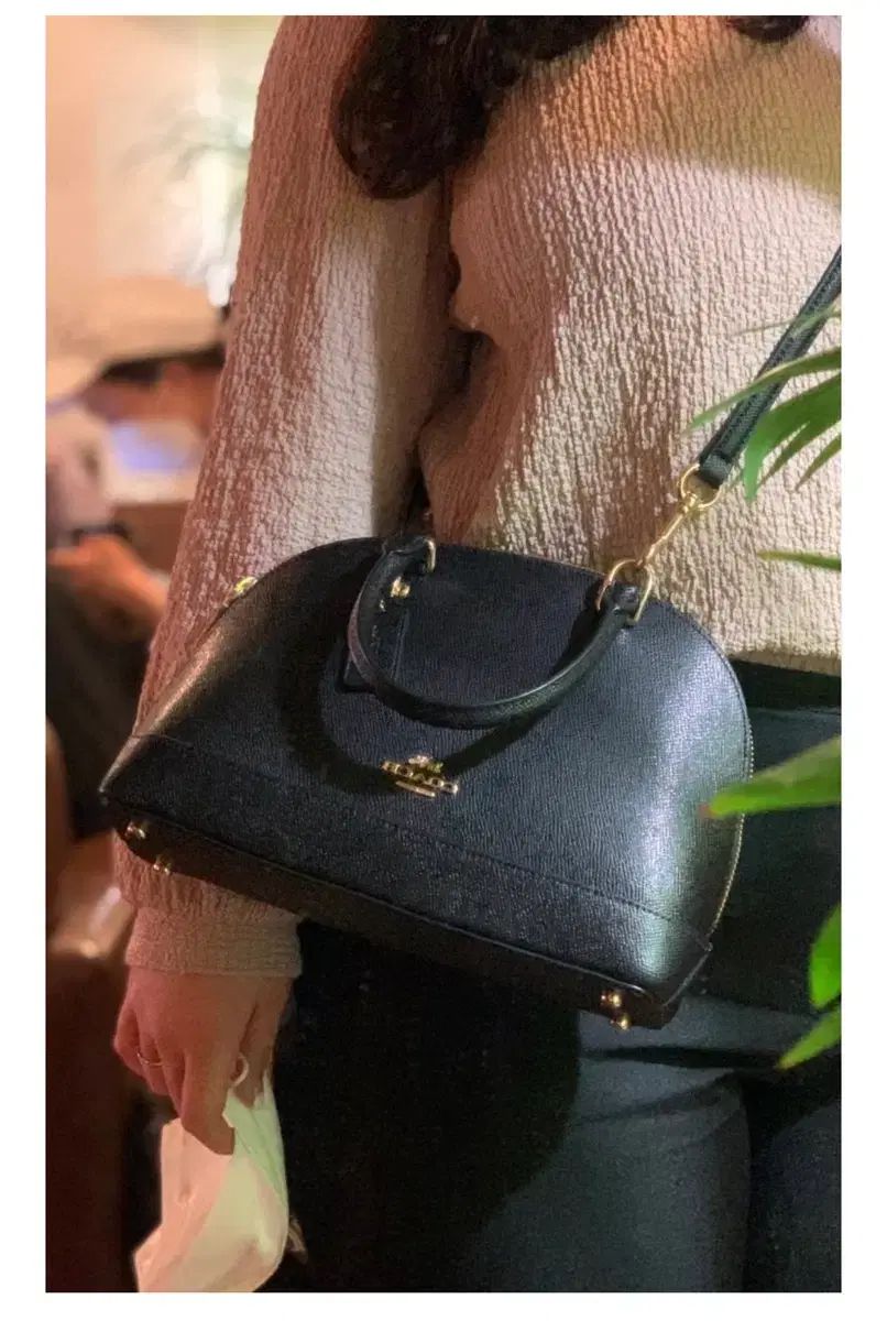 レディース COACH ミニ シエラ サッチェルバッグ (ディープブラウン)