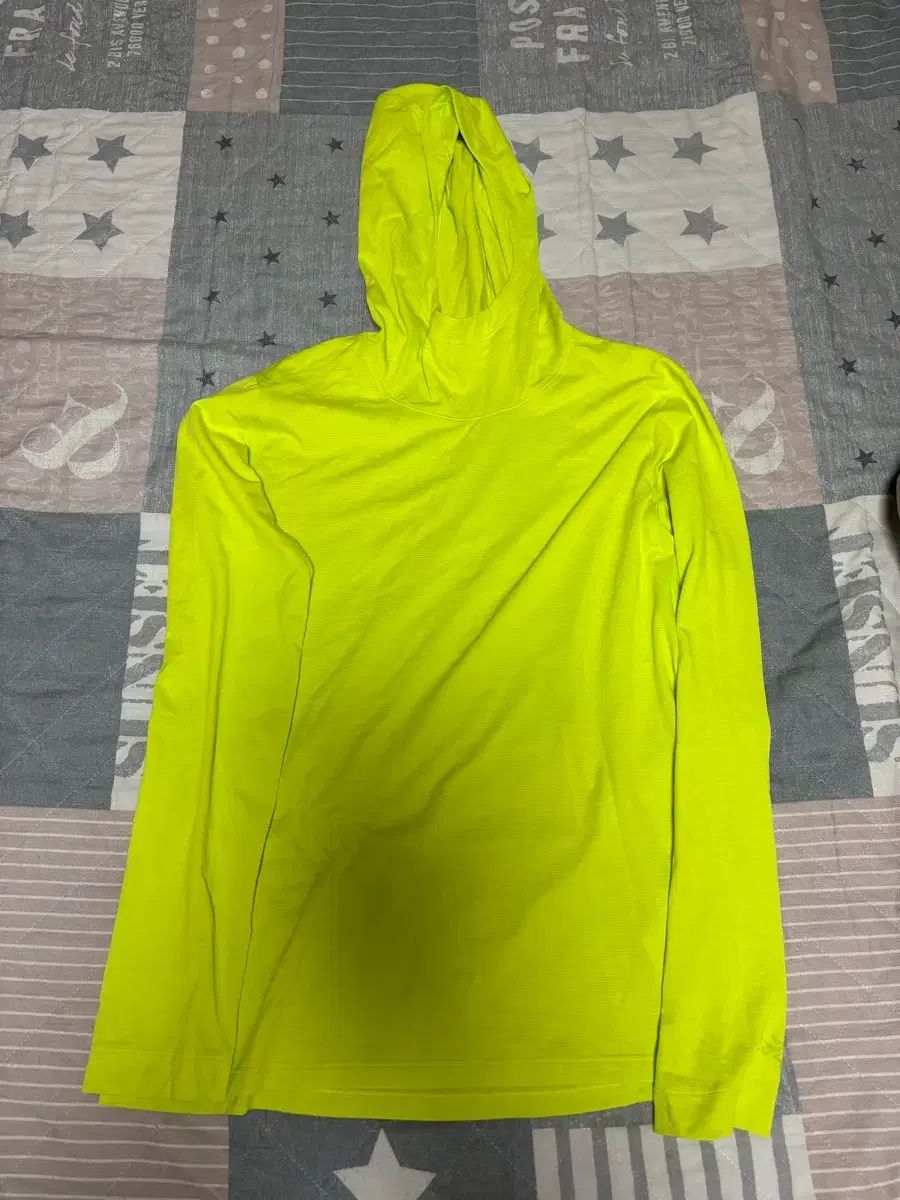 ARC TERYX アークテリクス テーマ フーディ S