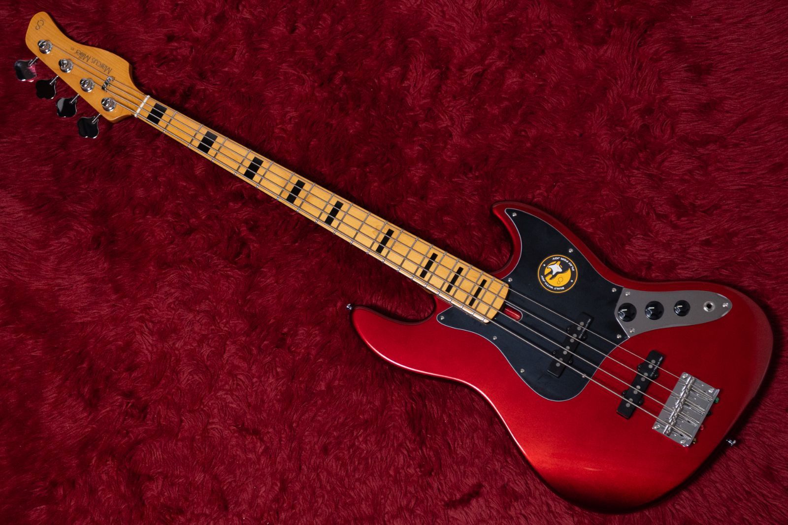 Sire V 5 Alder 4 CAR 005 kg GIB横浜