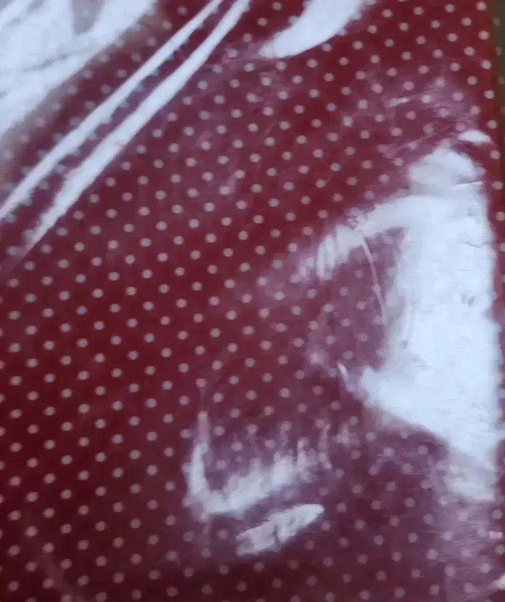 用 スクールランブル 1 - 22 完 グッズ ガイドBOOK 上級以上度書