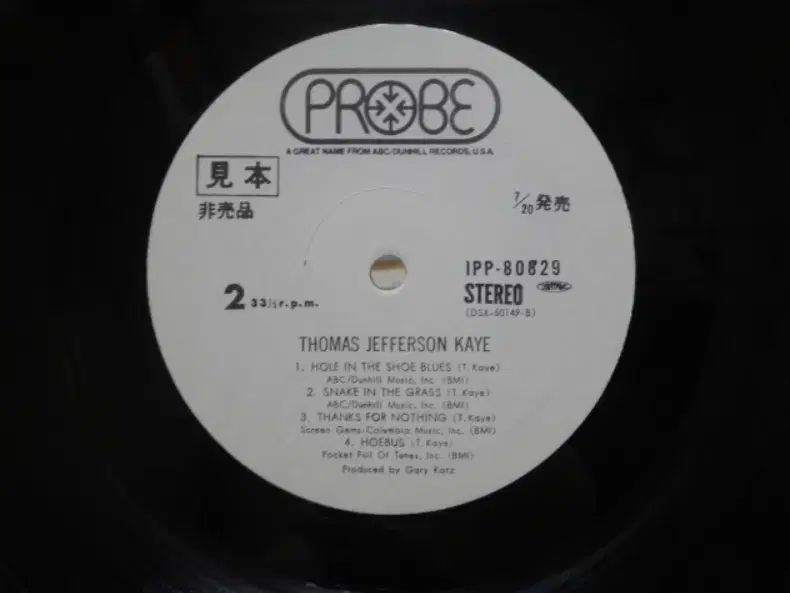  日本 PROMO LP Thomas Jefferson Kaye 早い その他 楽器 機材