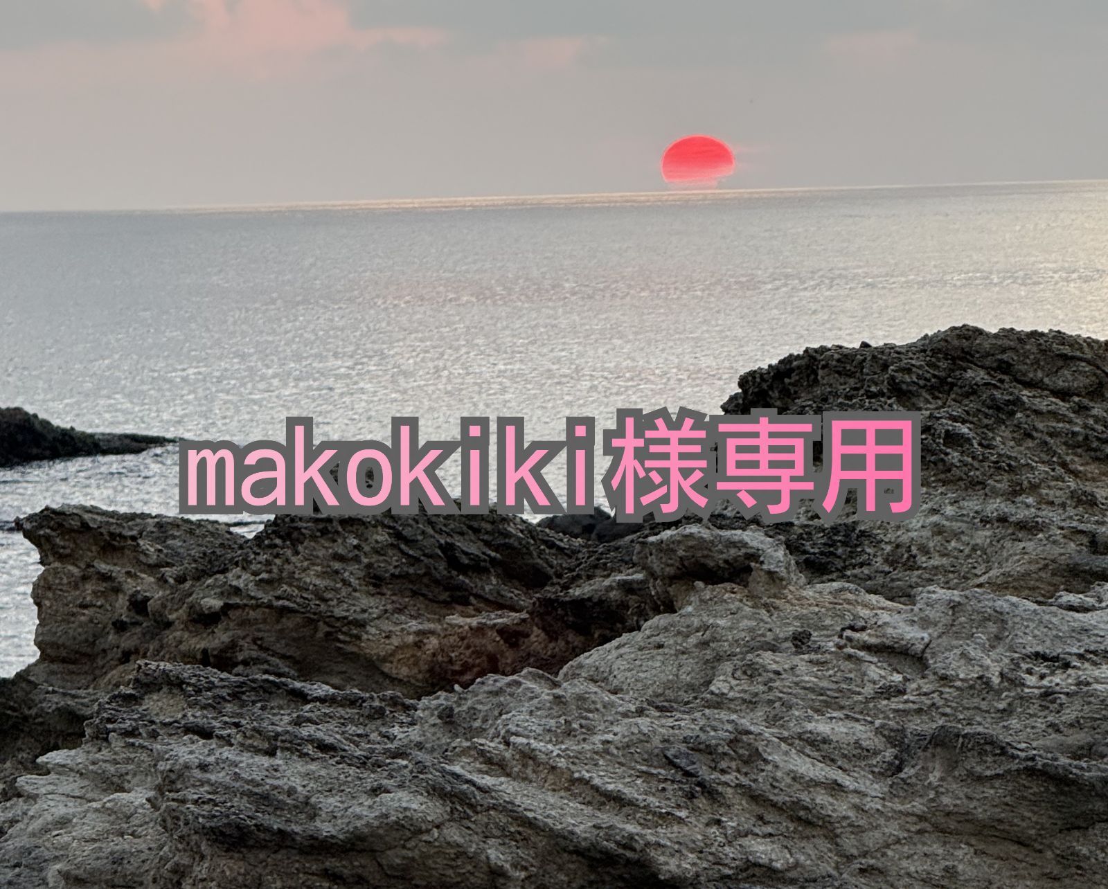 専用です。makokiki様 - メルカリ