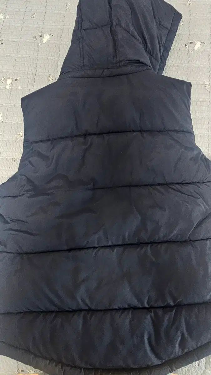 ディッキーズ フード