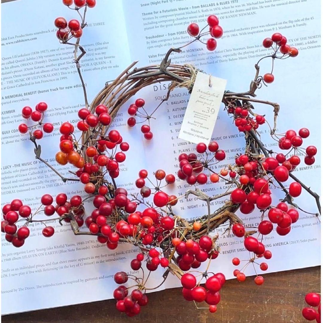 無農薬☆山帰来（サンキライ）☆赤い実☆270〜280gぐらい☆観賞