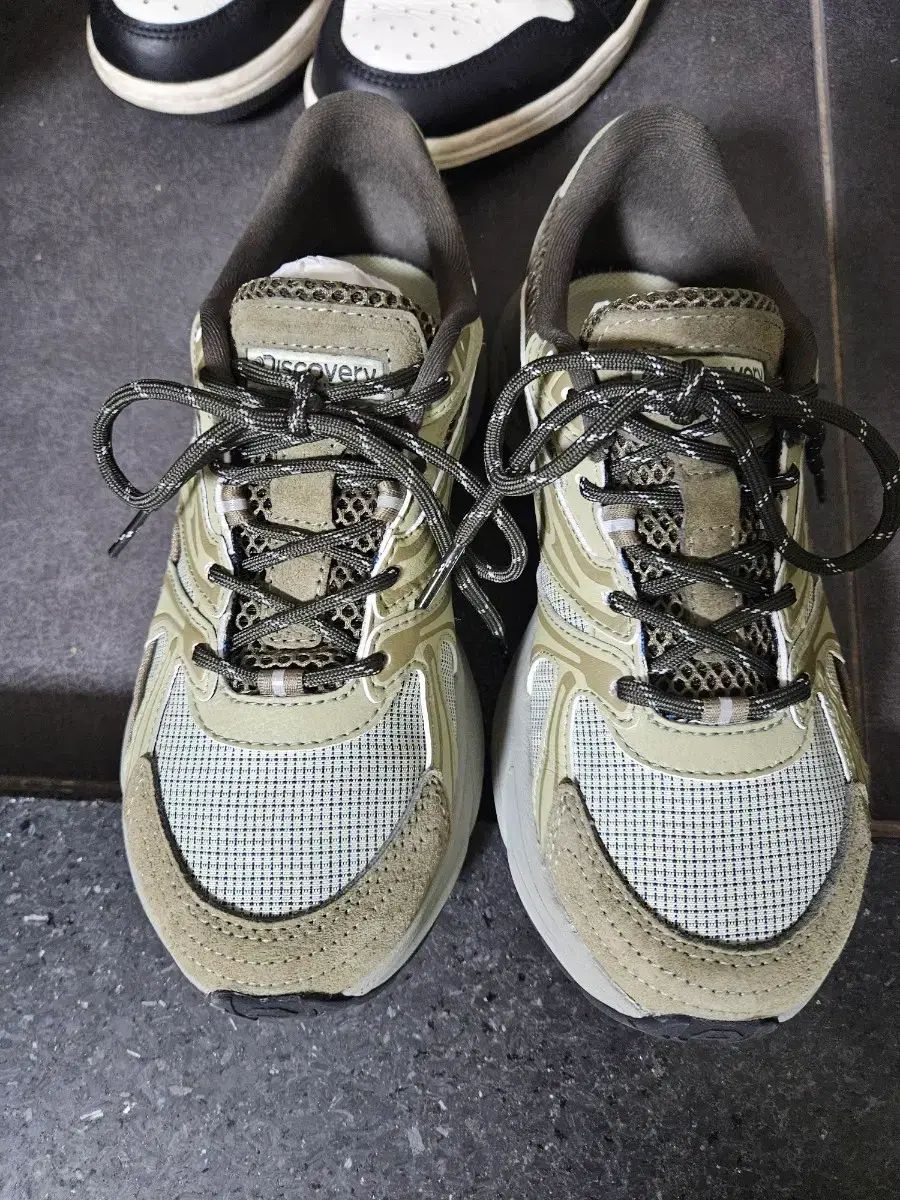 舶来古磁 青花染付 蘇麻離青釉 手絵 鳳紋花卉図 底海水紋 観賞皿 在銘