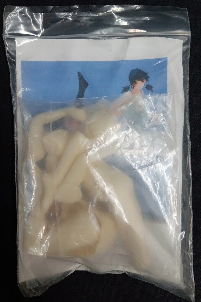 OVERDARD ノンスケールレジンキャストキット 美加