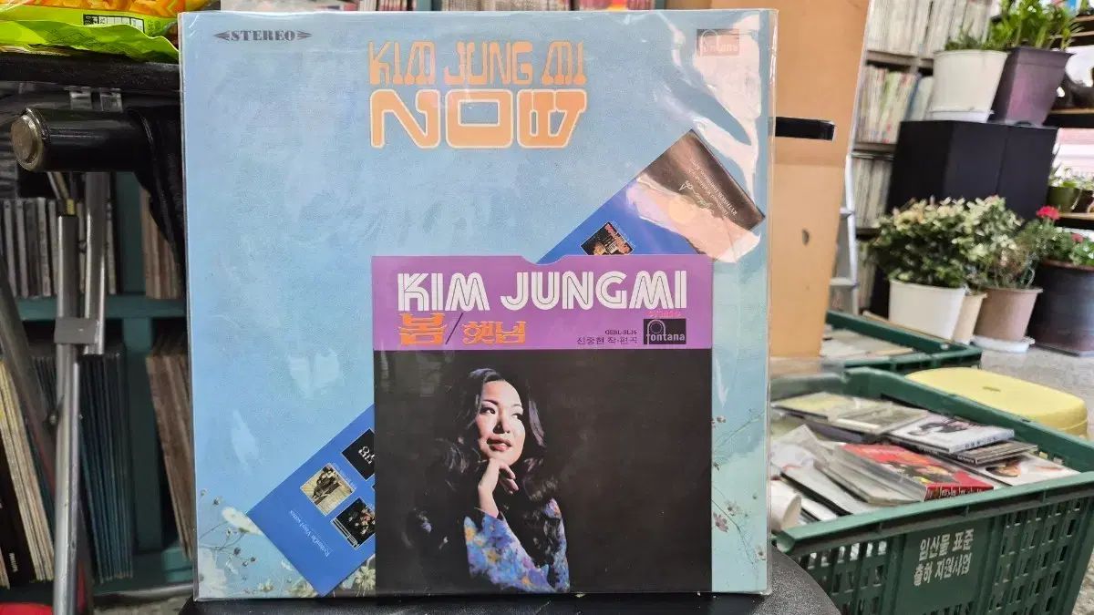 キム ジョンミ NOW アルバム LP 春 ひなた シン シンヒョン