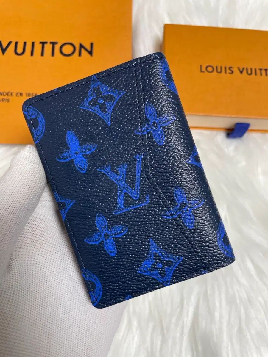 モデル Louis Vuitton ルイヴィトン エブリデイ オーガナイザー ブルー