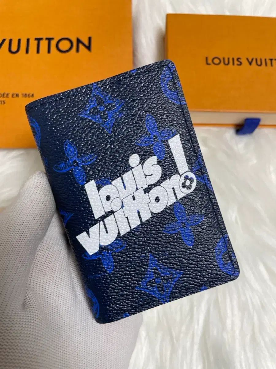 モデル Louis Vuitton ルイヴィトン エブリデイ オーガナイザー ブルー