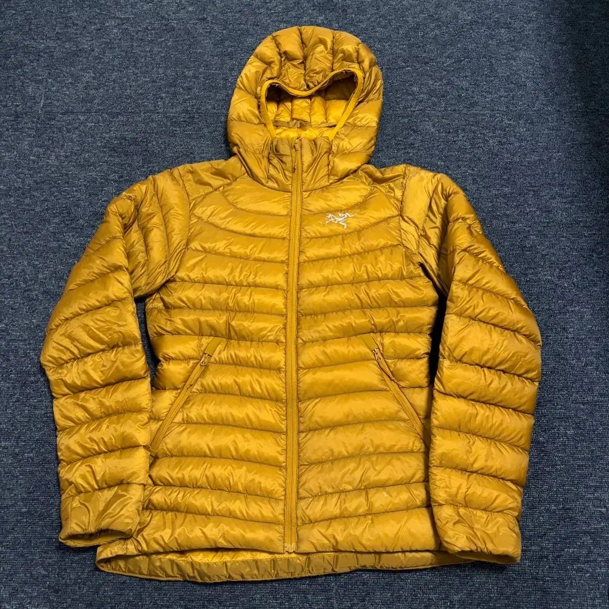 ARC TERYX Cerium LTフーディ レディース