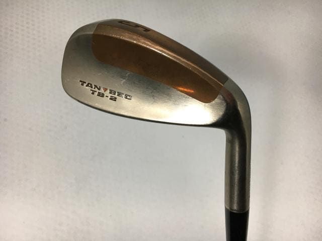 ゴルフクラブ 9本セット ブリヂストン タンベック TB 2 アイアン NSプロ 4～9 P A S