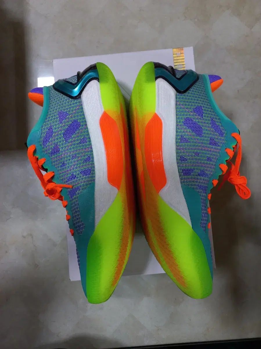 LI-NING リーニン レン4 V 2 ロー 255