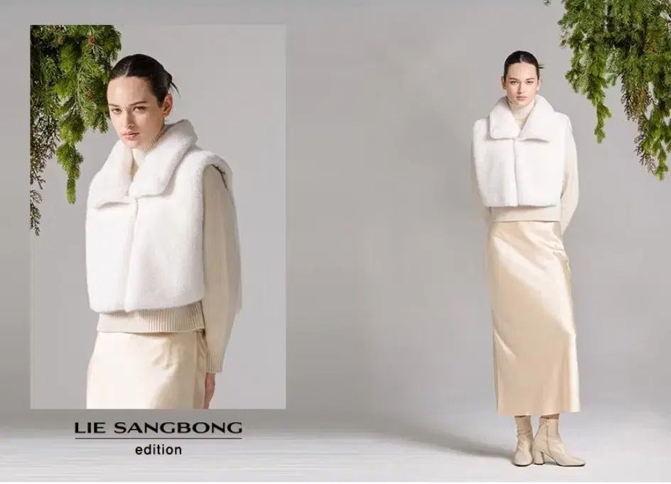 LIE ファーケープ66