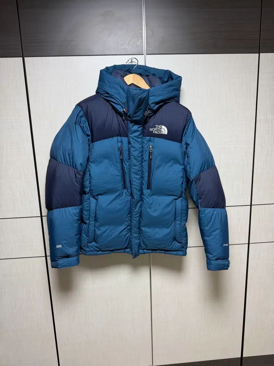 ノースフェイス グースダウンジャケット フィルパワー800 パッカブル ノースフェイス グースダウンジャケット フィルパワー800 パッカブル