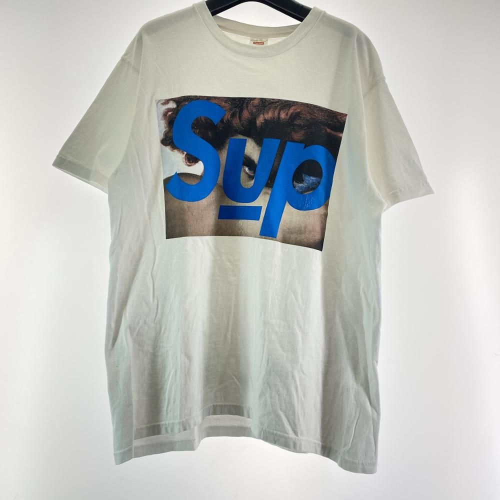 Supreme × 23 SS Face Tee サイズM ホワイト 17
