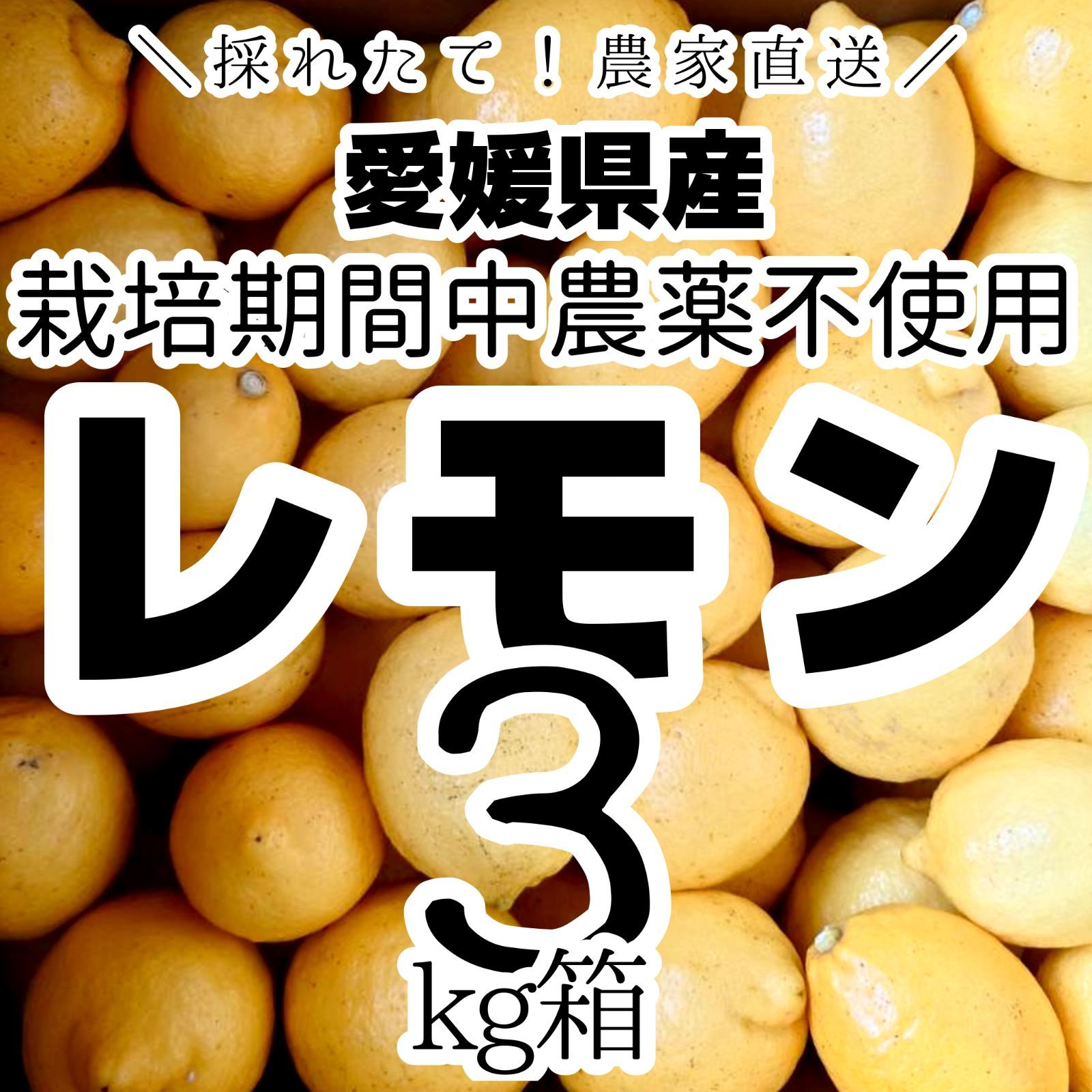 農薬不使用の国産レモン 3kg箱【愛媛の農家直送/農薬不使用の特別栽培