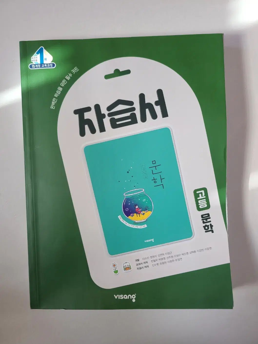 VISANG 韓国語 文学 参考書