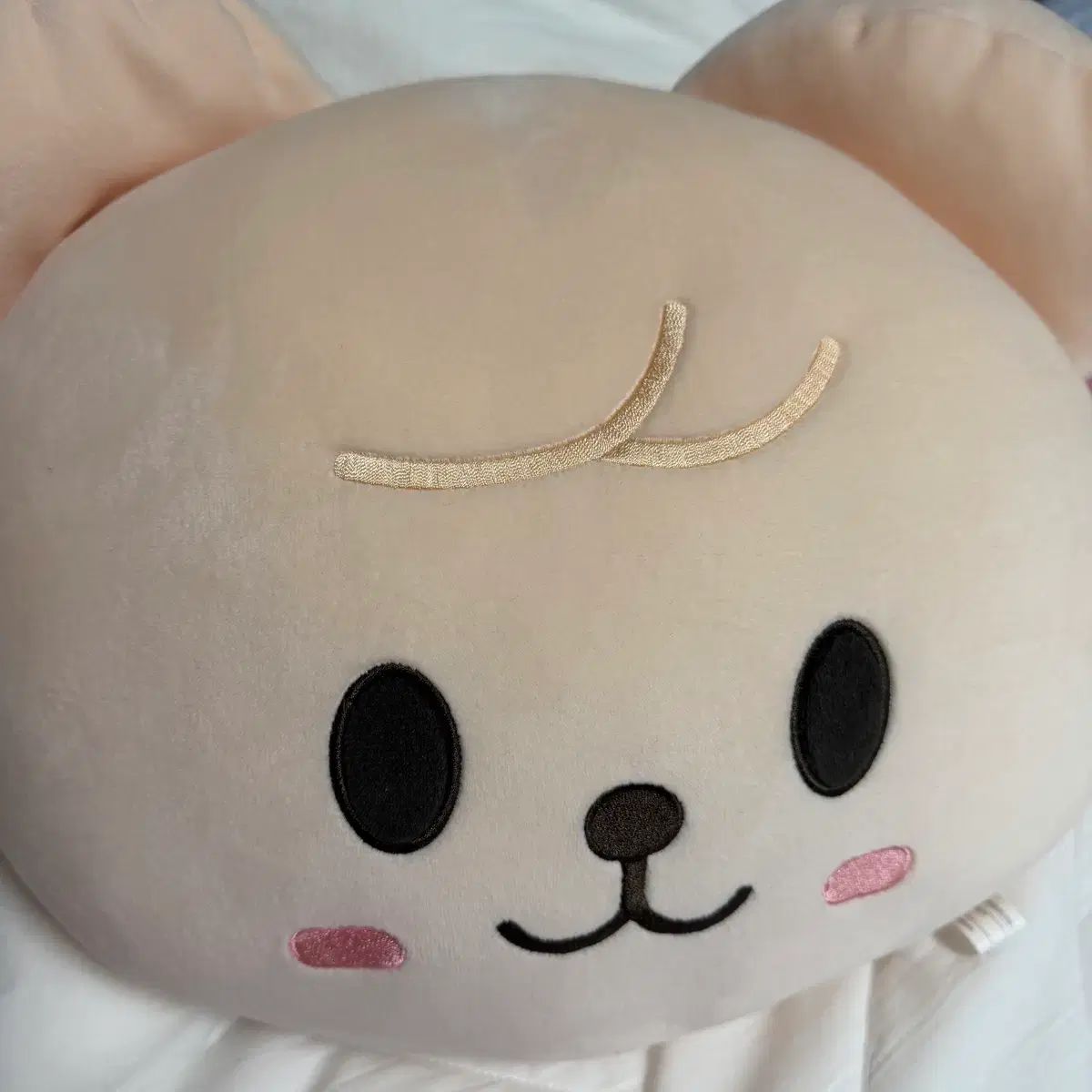 Stray Kids(ストレイキッズ・スキズ・SKZ) スキズ SKZOO スンミン