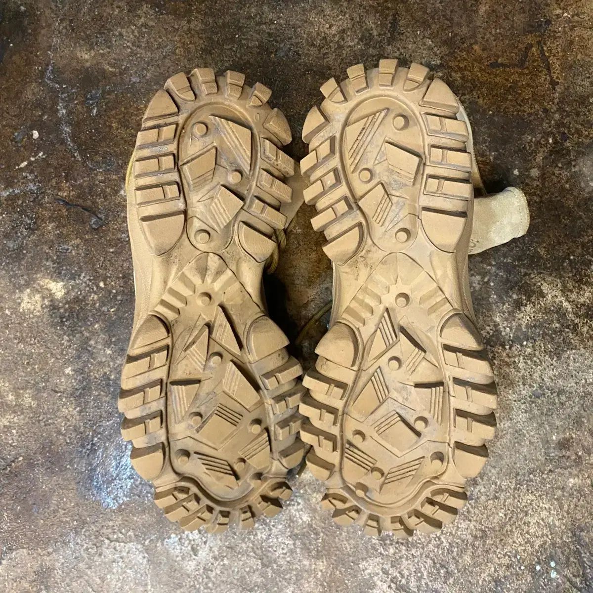 ノンネイティブ x