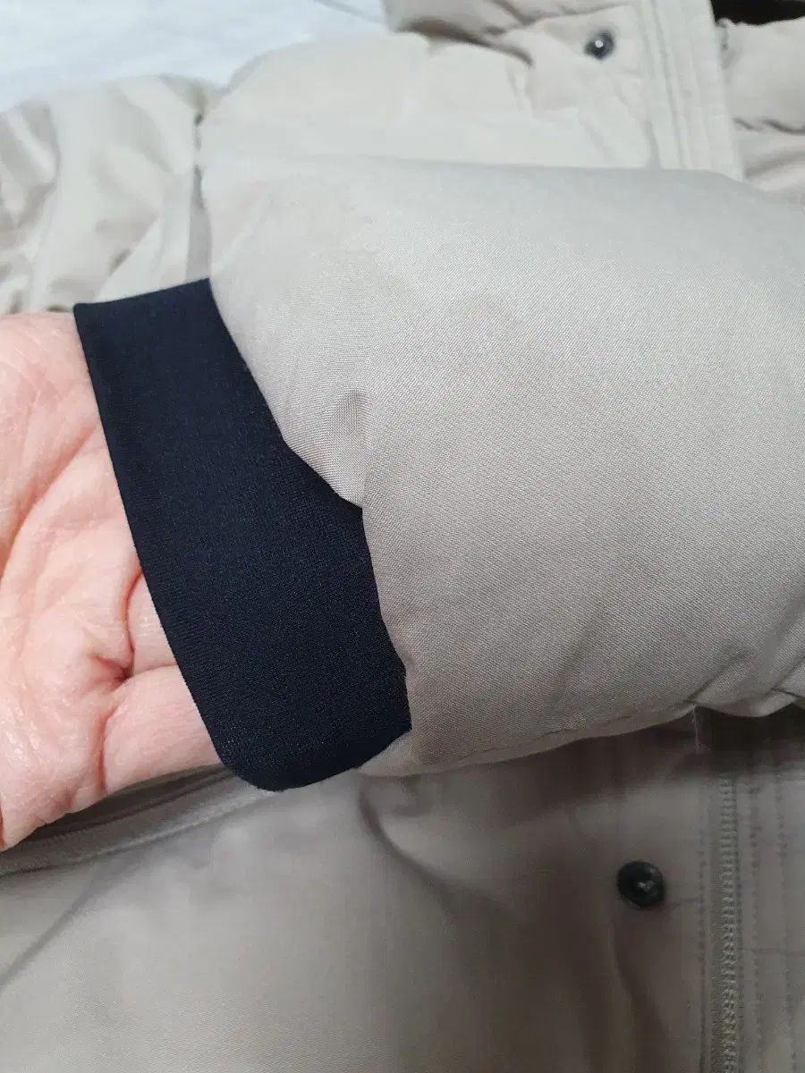 アンデス ダックダウン