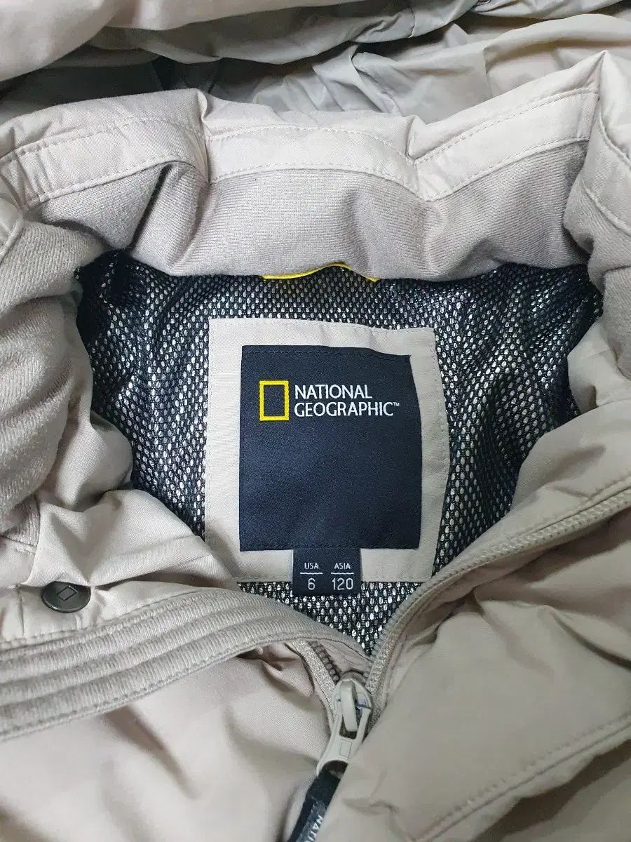 アンデス ダックダウン