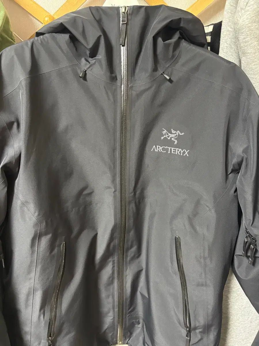 ARC TERYX アークテリクス ベータlt m