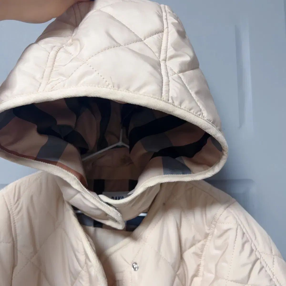 新 ダックスキッズ