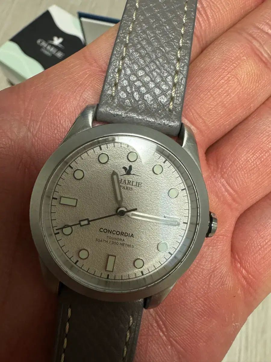  チャーリーパリ コンコルディア トゥンドラ 腕時計(クォーツ) 腕時計(アナログ)