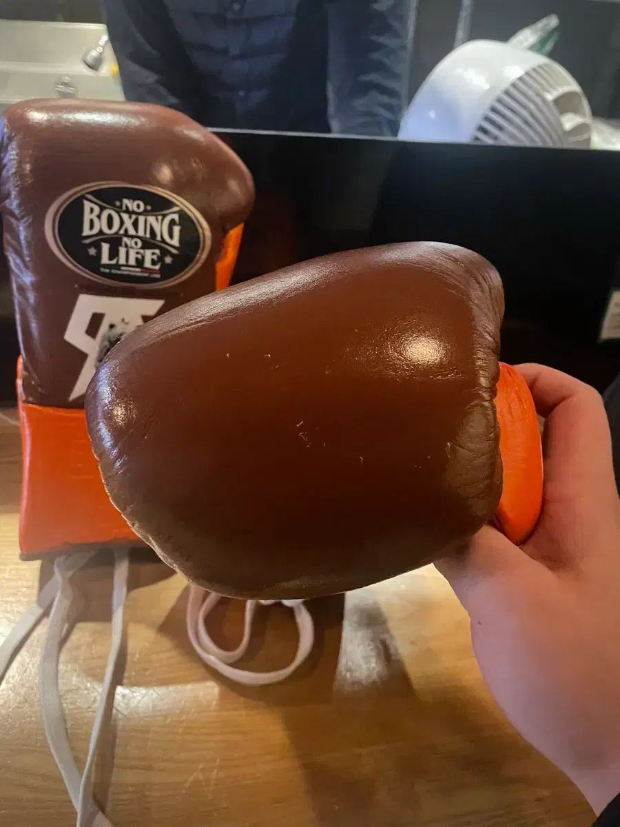 ノボクシングノライフ カネロエディション ボクシンググローブ 10オンス ノボクノラ