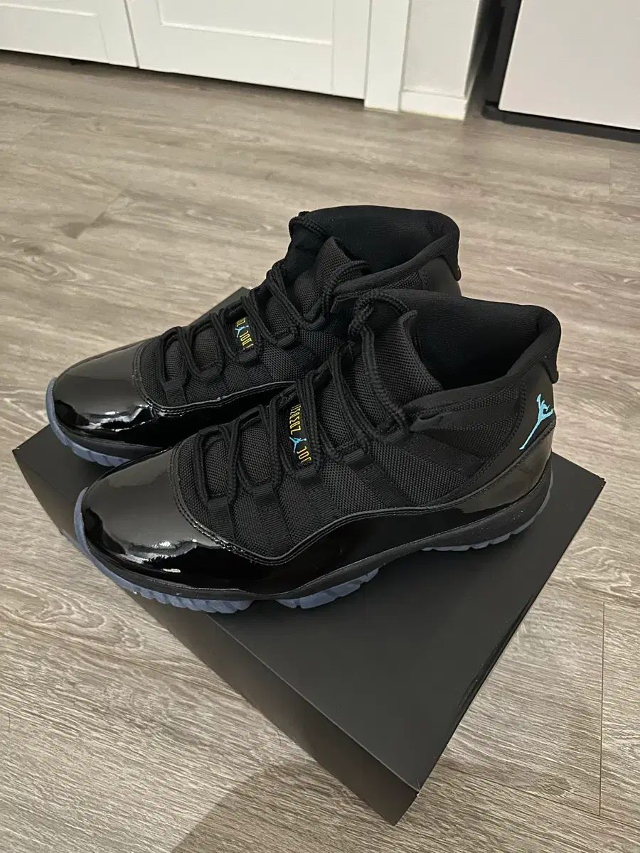 290 NIKE ジョーダン 11 ガンマブルー 2025