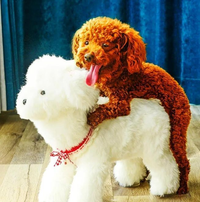 犬の不安解消ぬいぐるみ 犬の睡眠補助暖かい快適おもちゃ 犬の睡眠発情おもちゃ犬の交尾おもちゃシリコン模擬交尾犬のおもちゃ発情期の雄ペットの犬のおもちゃ