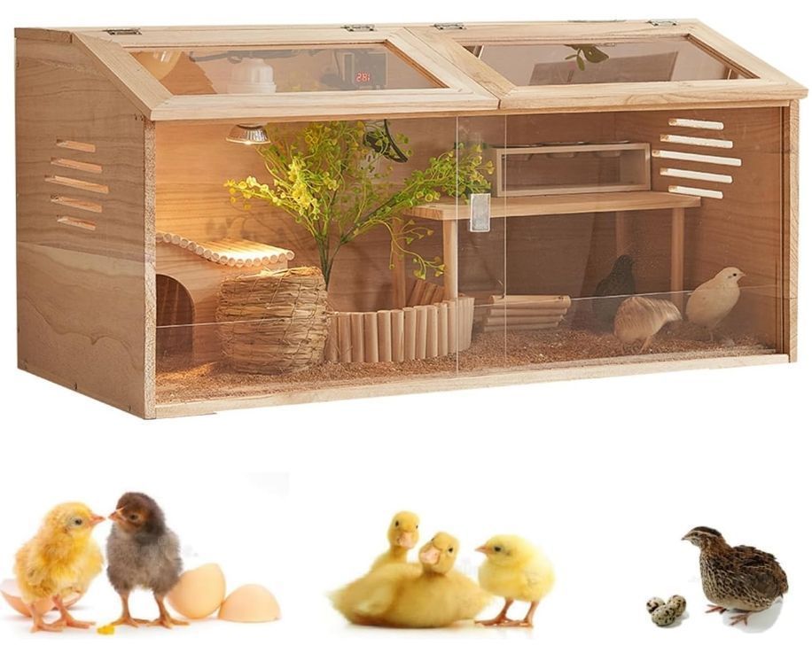 育雛箱 ヒヨコ培養箱 ひよこ保育器 ひよこ保温箱 木製 窓開閉 大空間 透明 0距離観察 温度調整計と恒温ランプ付き 育雛 孵化 餌やり 育雛生息地用品 ひよこ ウズラ アヒル 爬虫類 鳥 保育器 家禽飼育 学校 60 40 CM